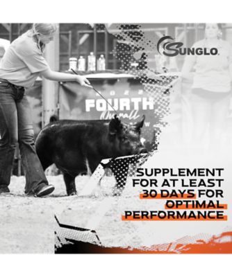 Image showing  Sunglo In Motion 14#