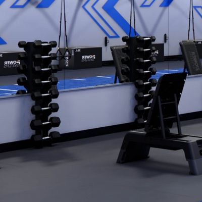 Image showing 5 th Power Systems Rubber Hex Dumbbell 3lb (Pair)