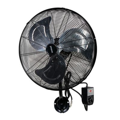 DuraBreeze 20 in Heavy Duty Steel Wall Mount Fan, 3-Speed 120V (1-Pack)