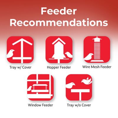 Image showing 5 th Lyric Golden Safflower Wild Bird Food