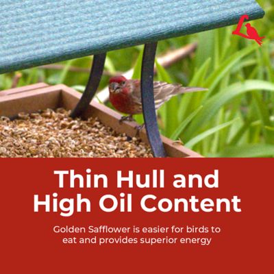 Image showing 7 th Lyric Golden Safflower Wild Bird Food