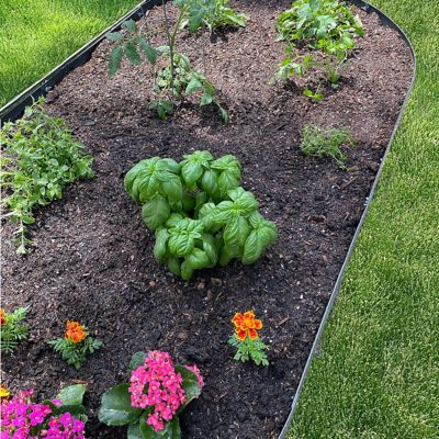 Image showing 5 th Garden Craft 6ft x 3ft Oval Raised Garden Bed