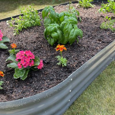 Image showing 7 th Garden Craft 6ft x 3ft Oval Raised Garden Bed