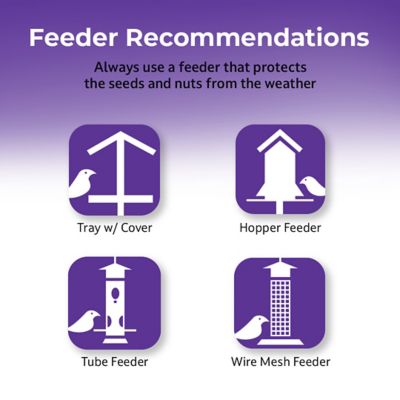 Image showing 5 th Lyric Delite No Waste Bird Food Mix with Shell-Free Nuts and Seeds, Attracts Chickadees and Finches