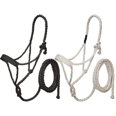 Image showing  Mule Tape Halter with Lead