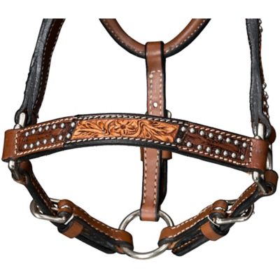 Image showing  Cowpuncher Halter with Lead