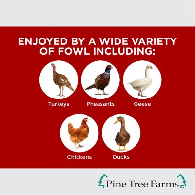 Image showing  Hen Pecked Seed Log with Mealworms for Poultry, 3 pk.