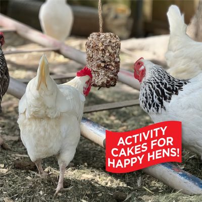 Image showing  Hen Pecked Seed Log with Mealworms for Poultry, 3 pk.