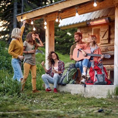 Image showing 7 th Heat Storm Tradesman 1500 Watt Weatherproof Infrared Heater, Remote