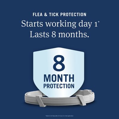 Image showing  Dog Flea & Tick Collar