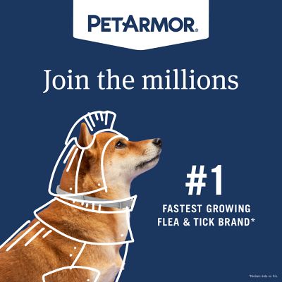 Image showing 8 th PetArmor Dog Flea and Tick Collar