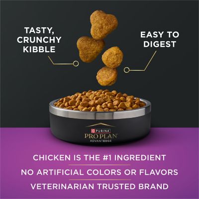 Image showing  AdvantEDGE Senior Support+ Chicken and Rice Formula Dry Cat Food