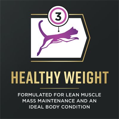 Image showing 7 th Purina Pro Plan AdvantEDGE Senior Support+ Chicken and Rice Formula Dry Cat Food