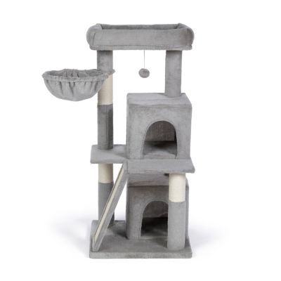 Image showing  Comfy Kitty