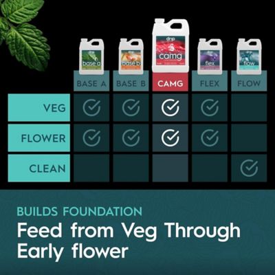 Image showing  1 Gallon (3.79L) CaMg Calcium & Magnesium Supplement Liquid Plant Fertilizer Fruiting & Flowering Plants 2-0-0 1-Pack