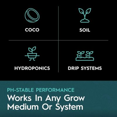 Image showing  1 Gallon (3.79L) CaMg Calcium & Magnesium Supplement Liquid Plant Fertilizer Fruiting & Flowering Plants 2-0-0 1-Pack