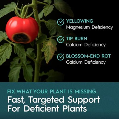 Image showing  5 Gallon (18.93L) CaMg Calcium & Magnesium Supplement Liquid Plant Fertilizer Fruiting & Flowering Plants 2-0-0 1-pk.