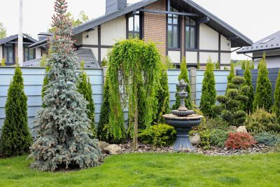 Image showing 5 th Woodace A.C.R.E Acidifying Fertilizer with Mesa 12-3-6 Shrub Food