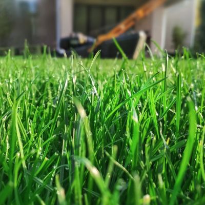 Image showing  All Purpose Lawn Fertilizer 21-0-3 with MESA 40 lb.