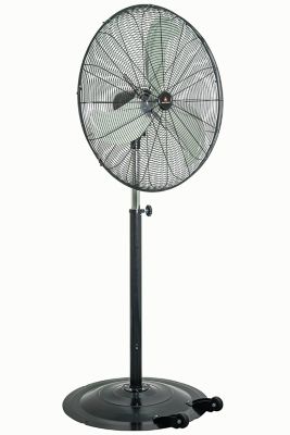 Image showing  30 in. 3-Speed Indoor Pedestal Fan