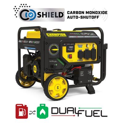 Image showing  3800W Electric Start Dual Fuel RV Ready Portable Generator with CO Shield