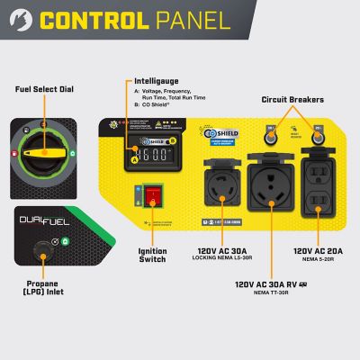 Image showing  3800W Electric Start Dual Fuel RV Ready Portable Generator with CO Shield