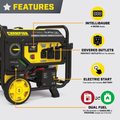 Image showing 5 th Champion Power Equipment 3800W Electric Start Dual Fuel RV Ready Portable Generator with CO Shield