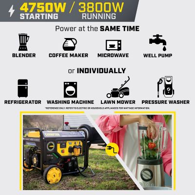 Image showing 6 th Champion Power Equipment 3800W Electric Start Dual Fuel RV Ready Portable Generator with CO Shield