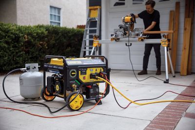 Image showing 9 th Champion Power Equipment 3800W Electric Start Dual Fuel RV Ready Portable Generator with CO Shield