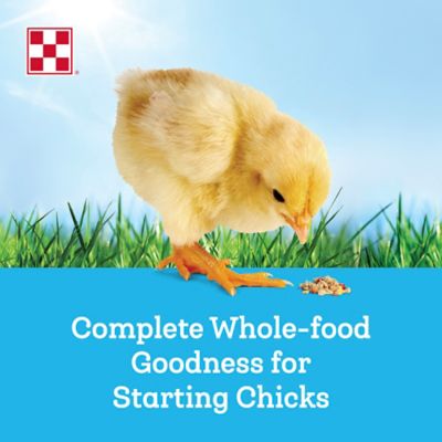 Image showing  Farm to Flock Starter