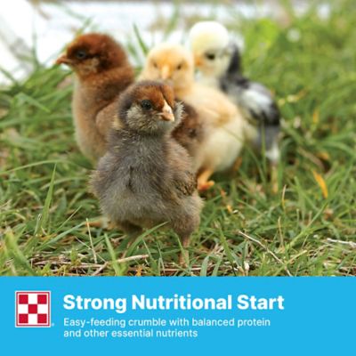 Image showing  Farm to Flock Starter