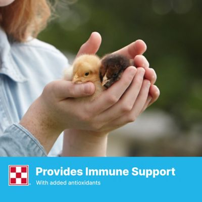 Image showing 5 th Purina Farm to Flock Starter