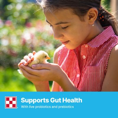 Image showing 6 th Purina Farm to Flock Starter