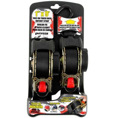 Image showing  Bolt-On Retractable Ratchet Tie Downs for Permanent Mounting, Set of Two