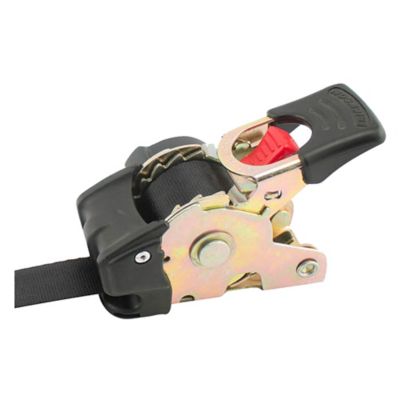 Image showing  Bolt-On Retractable Ratchet Tie Downs for Permanent Mounting, Set of Two