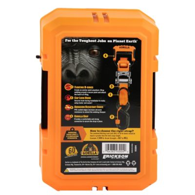 Image showing  Ratchet Straps with Ergonomic Grip, Locking Caps, and Floating D-Rings - 2 pack