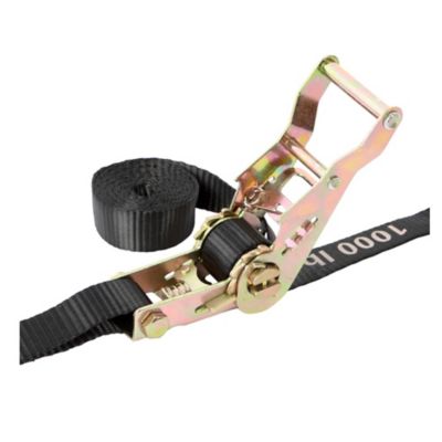 Image showing  Motorcycle Ratchet Straps for Heavy-Duty Securement, Set of Two