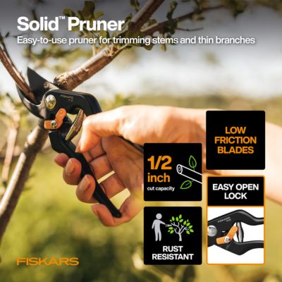 Image showing  Solid Pruner