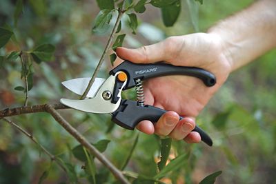 Image showing  Stainless Steel Bypass Pruner