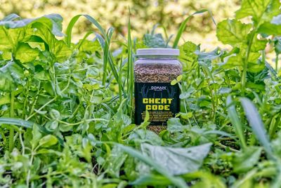 Image showing  Cheat Code Food Plot Mix - 5.5 lb.
