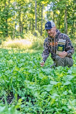 Image showing  Cheat Code Food Plot Mix - 5.5 lb.