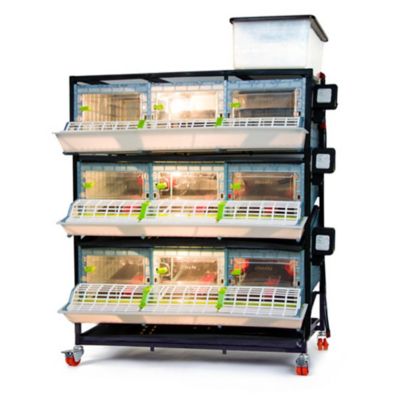 Image showing  Comfortplast Chick Brooder - 3 Layer, H 9.5 in., 3 Sections Per Layer