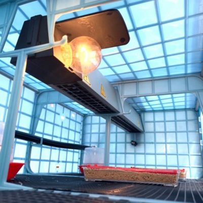 Image showing 5 th Hatching Time Comfortplast Chick Brooder, 3 Layer, H 9.5 in., 3 Sections Per Layer