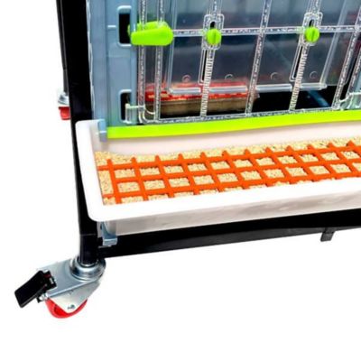 Image showing  Comfortplast Chick Brooder - 2 Layer, H 15 in., 3 Sections Per Layer