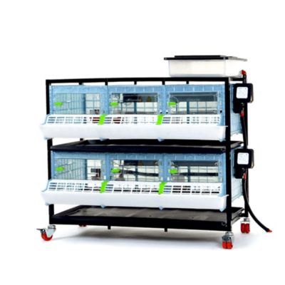 Hatching Time Comfortplast Chick Brooder - 2 Layer, H 9.5 in., 3 Sections Per Layer