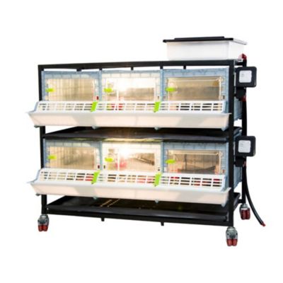 Image showing  Comfortplast Chick Brooder - 2 Layer, H 9.5 in., 3 Sections Per Layer