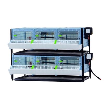 Image showing  Comfortplast Chick Brooder - Double Layer Addition, H 9.5 in.