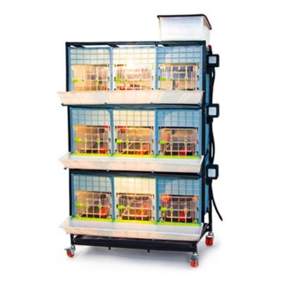 Image showing  Comfortplast Chick Brooder - 3 Layer, H 15 in., 3 Sections Per Layer