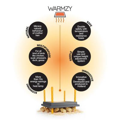 Image showing 6 th Hatching Time 10x10 Warmzy Heating Plate for Baby Chicks for 15-20 Chicks