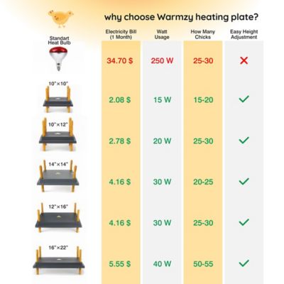 Image showing 5 th Hatching Time 14x14 Warmzy Heating Plate for Baby Chicks for 25-30 Chicks